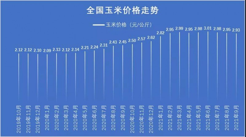 今日玉米价格走势分析，最新动态与趋势展望