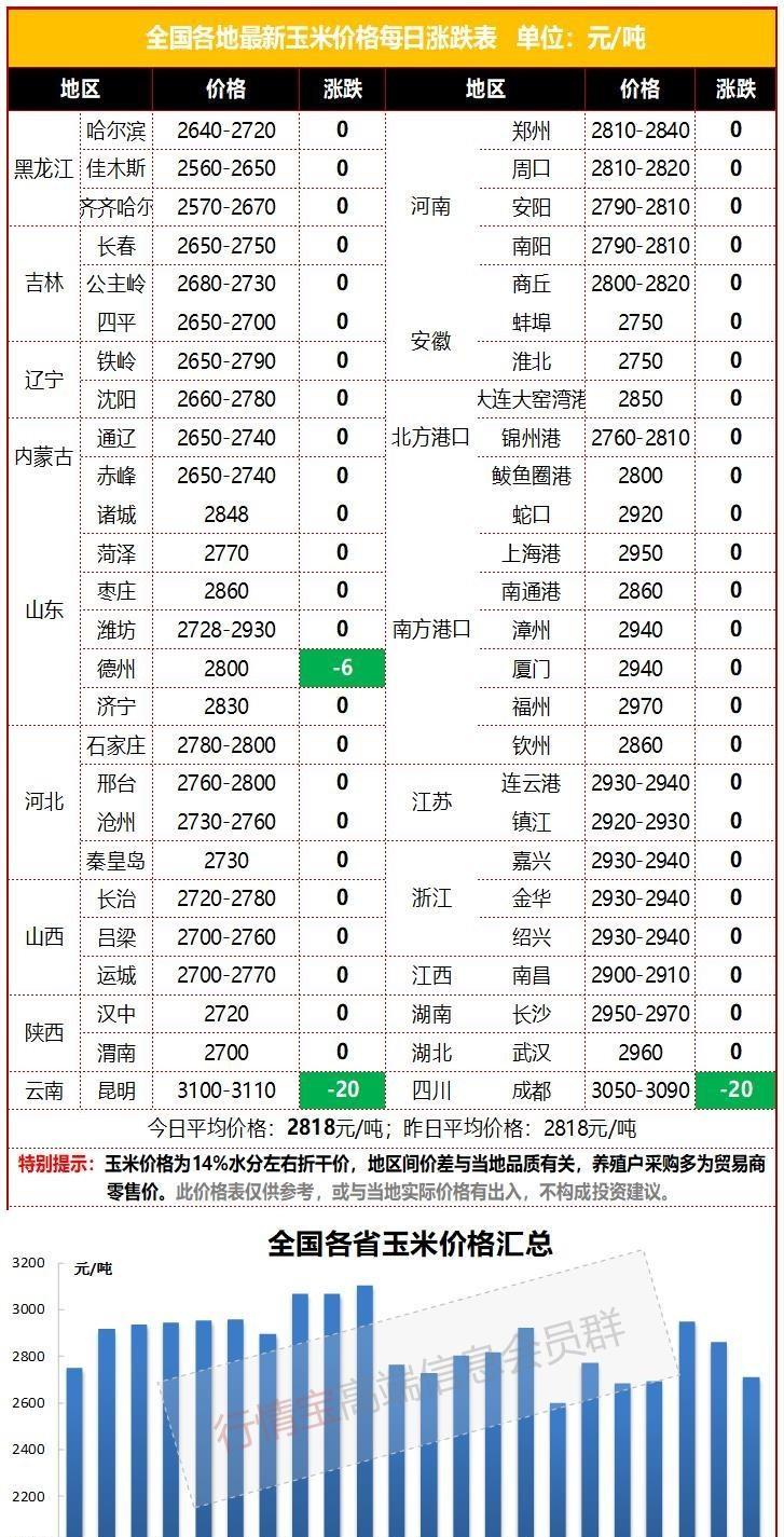 玉米今日价格动态解析及市场分析