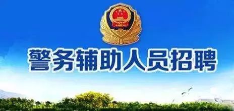 韶关最新招聘动态与就业市场深度解析