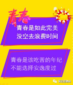 保定招聘最新动态与就业市场深度解析