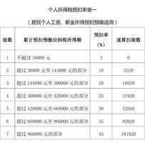 最新个人所得税概述与影响分析，政策解读与趋势展望