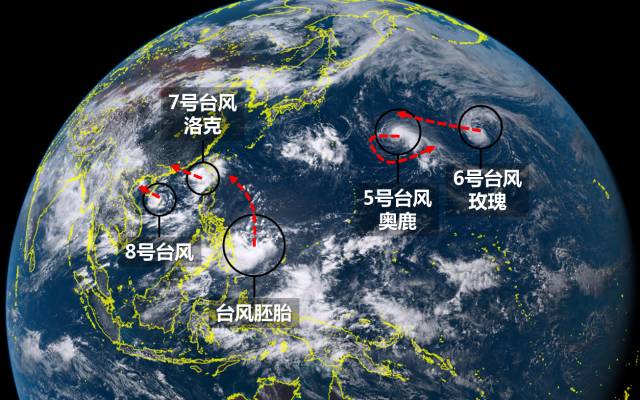 风台最新动态解析，全面解读与深度剖析