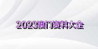 2023澳门资料大全正版资料免费,快速设计问题策略_XE版33.393