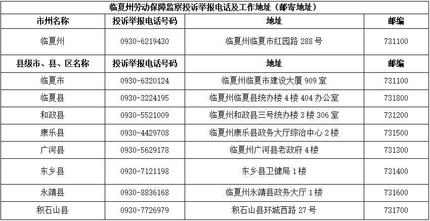 新门内部资料精准大全最新章节免费,高速响应解决方案_领航版65.534