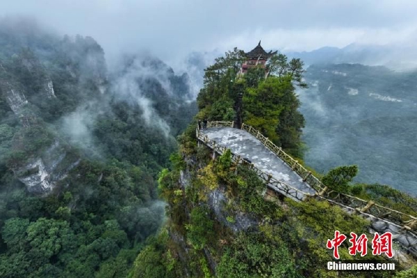 夏风如歌 第3页