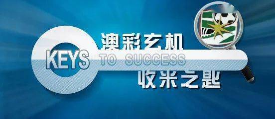 2024年澳门大全免费金锁匙,完善系统评估_专属版33.213