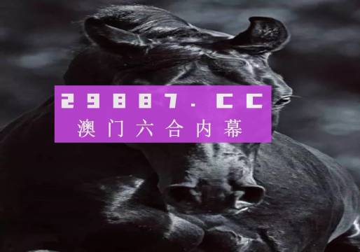 新澳门天天彩开奖结果记录,有效解答解释落实_4K版49.992