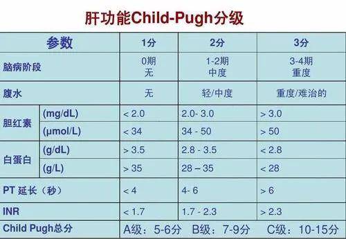 靶向药2023价格一览表,实地数据验证执行_X版17.385