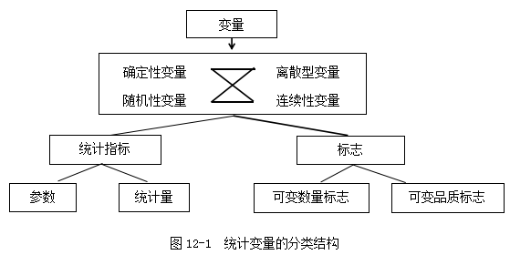 新澳精准资料免费提供,统计分析解释定义_视频版62.893