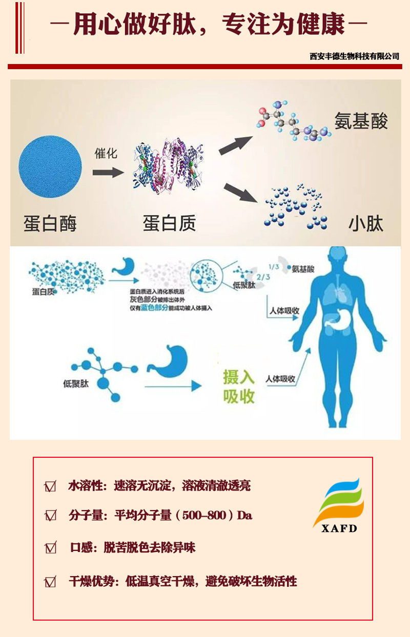 2024年11月9日 第3页