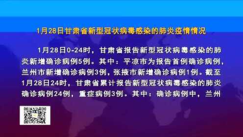 甘肃省最新疫情动态报告，最新分析与趋势预测