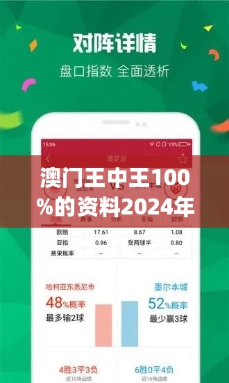 2024年新澳门王中王免费,稳定性执行计划_8DM61.150