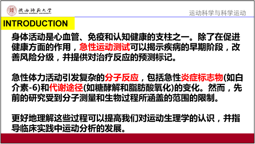 2024新奥精准资料免费大全,效率资料解释落实_开发版13.597