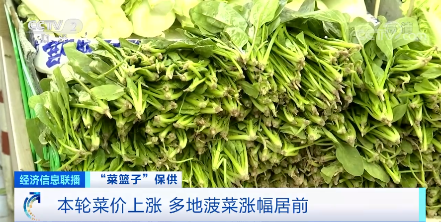 菠菜最新价格概览，市场走势与影响因素深度解析