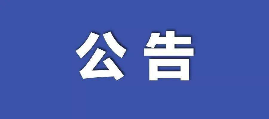 2024新澳门正版免费资木车,快速解答执行方案_C版90.302