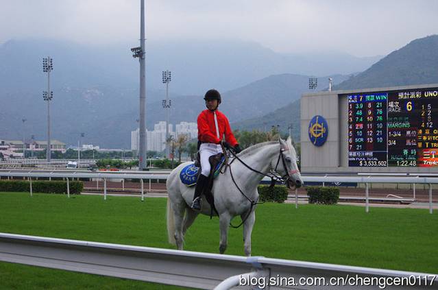 马会香港7777788888,快速解答解释定义_精英款23.663