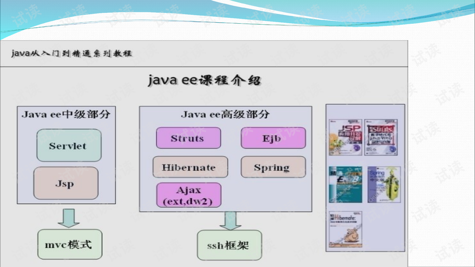 Ppypp最新网站引领数字时代全新体验探索之旅