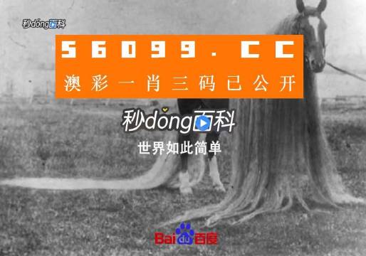 一肖一码一必中一肖,最佳选择解析说明_PT89.459