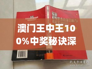 澳门王中王100%期期中一期,科学分析解析说明_工具版38.612