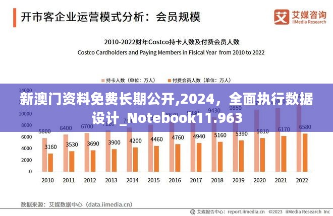 新澳2024大全正版免费资料,数据支持策略解析_苹果款63.622