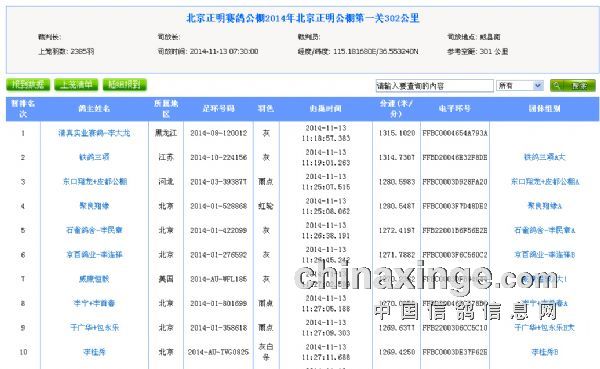 顺义信鸽公棚最新公告，引领未来鸽界新篇章启航