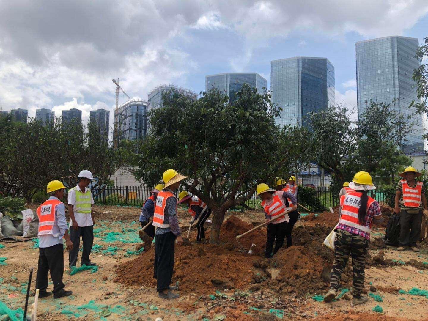 温州市园林管理局重塑城市绿色生态的最新项目启动