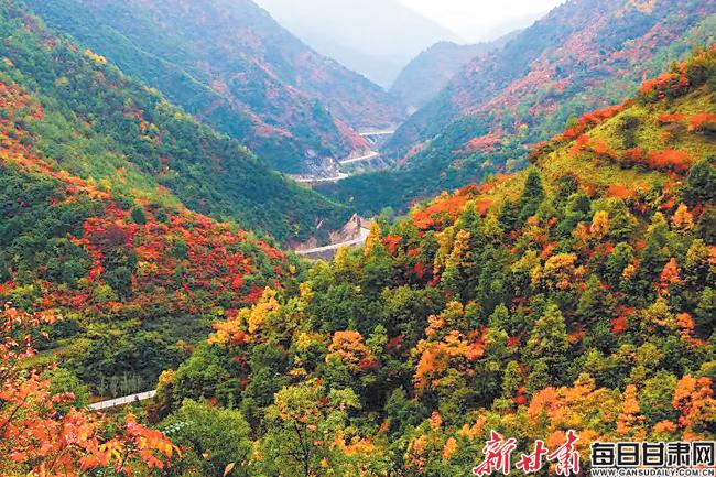 两当县文化广电体育和旅游局领导团队新貌及未来展望