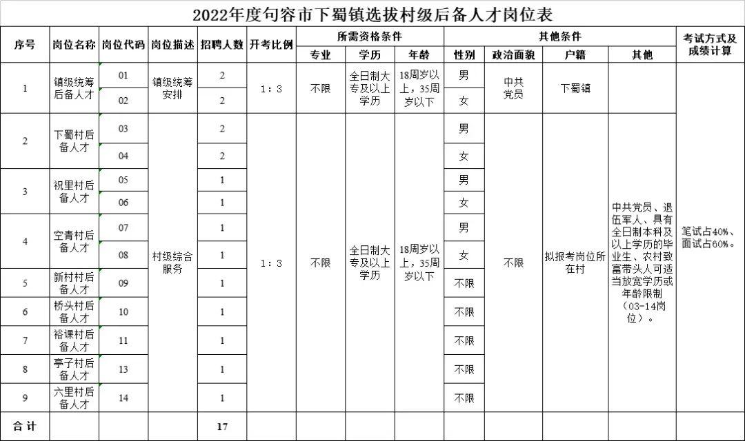 新镇最新招聘信息全面解析