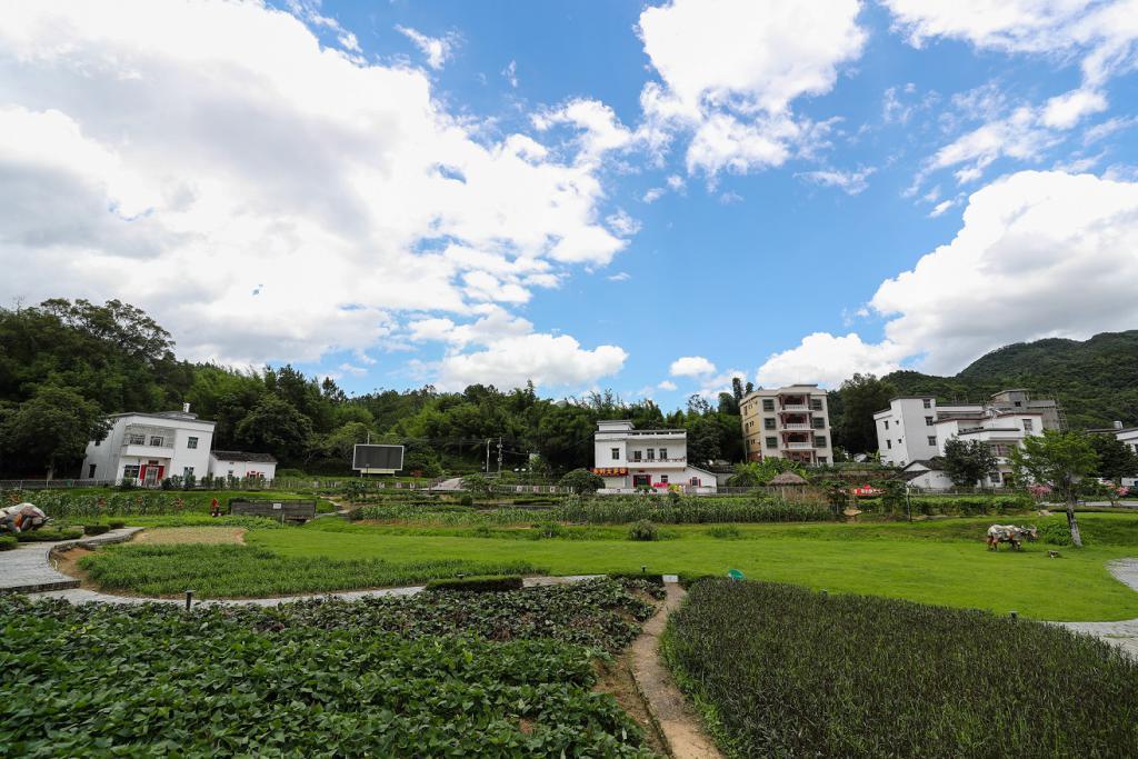 田东县卫生健康局发展规划，构建健康田东，全面优质医疗服务推进计划