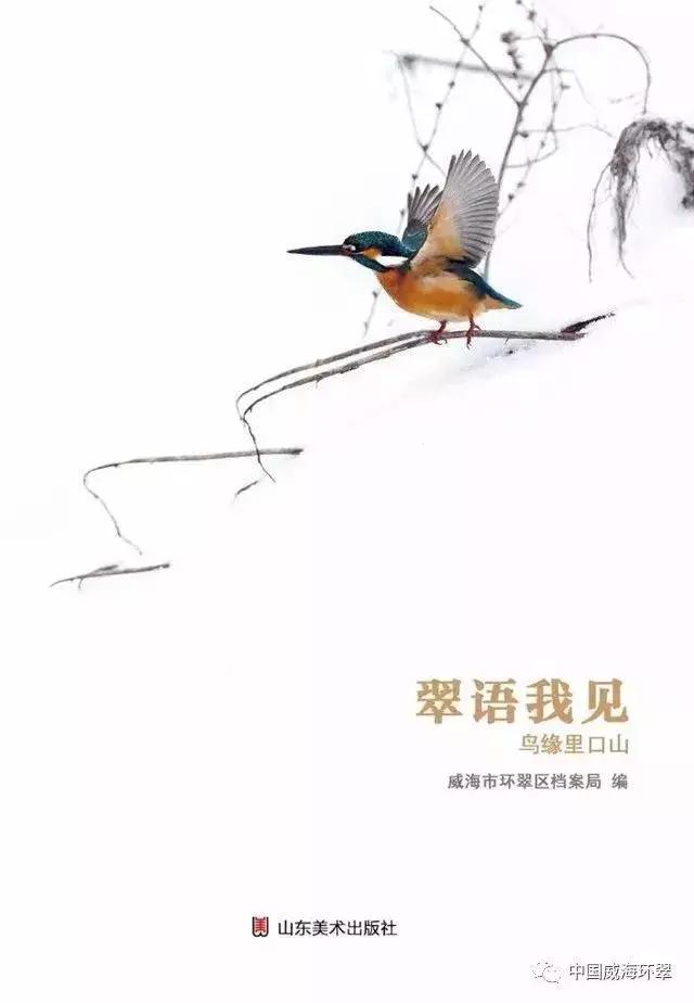 离夏惜柚子