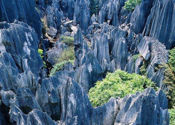 延边朝鲜族自治州市规划管理局领导团队全新亮相，未来工作展望与期待