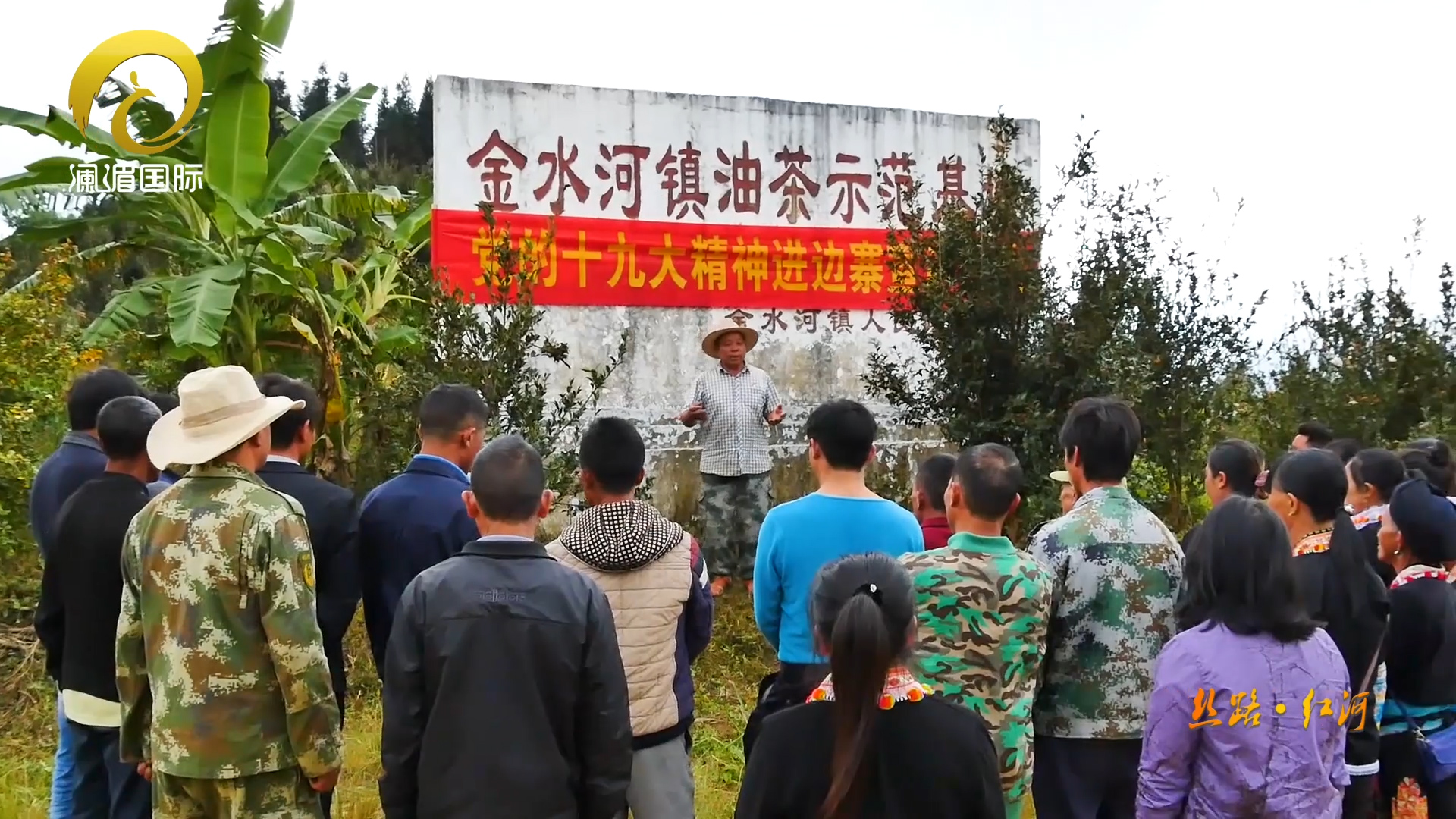 金平苗族瑶族傣族自治县市场监管局新项目，促进经济发展与消费者权益保护双赢之路