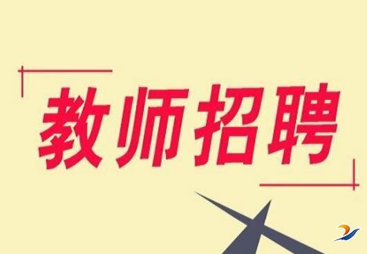 川汇区初中最新招聘公告概览