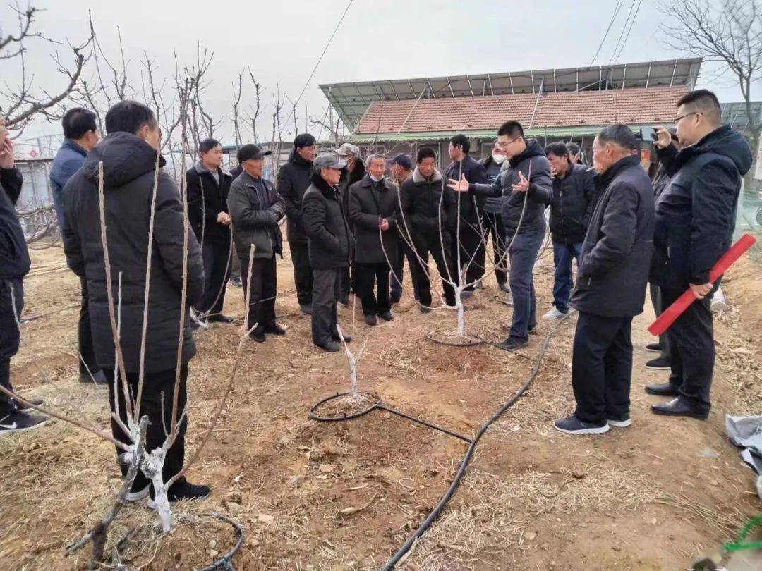 果都镇新项目，引领地区发展新标杆